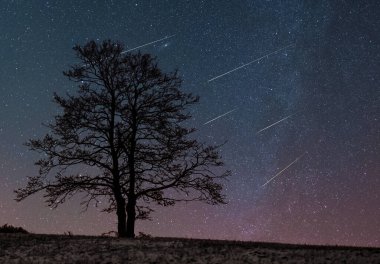 Behind a lone tree on a hill flying meteors on the night sky