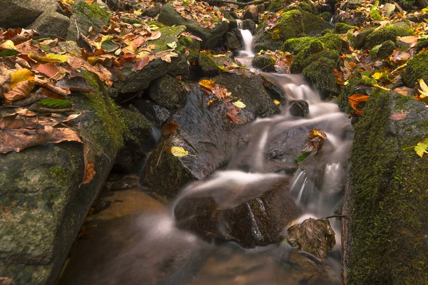 Córrego Limpo Montanha Flui Entre Rochas Adornet Com Musgo Outono — Fotografia de Stock