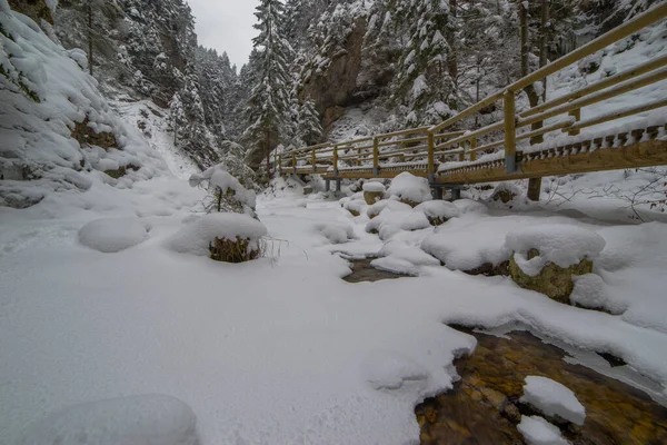 Una Ruta Senderismo Conduce Través Una Garganta Nevada Sobre Puente — Foto de Stock