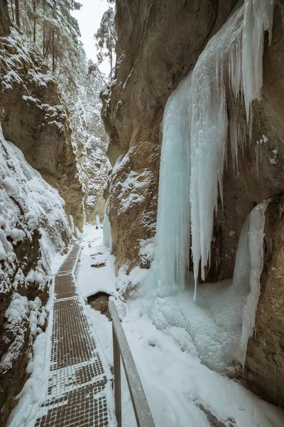 Turistická Stezka Vede Zamrzlou Skalnatou Soutěskou — Stock fotografie