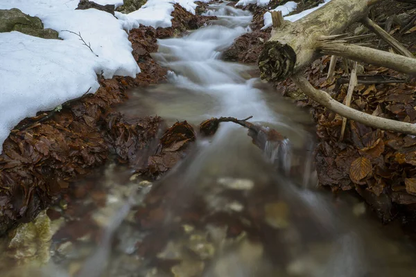 Derretimiento Nieve Orilla Arroyo Montaña Que Fluye Través Hojas Caídas —  Fotos de Stock