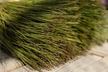 Ahşap bir masada yemyeşil papirüs bitkisi