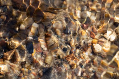 Derenin kumlu dibi su dalgaları arasında