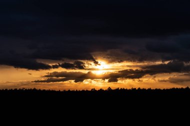Ormanın üzerinde oyulmuş bulutlarla güzel turuncu gün batımı