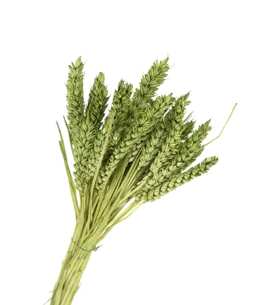 Gekleurde Gedroogde Oren Van Tarwe Triticum Geïsoleerd Een Witte Achtergrond — Stockfoto