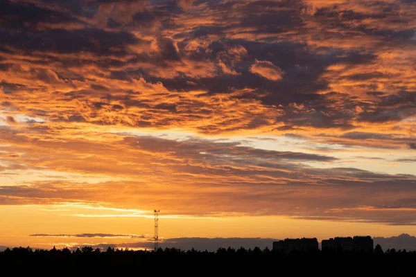 Bewölkter Sonnenuntergang Über Dem Wald — Stockfoto