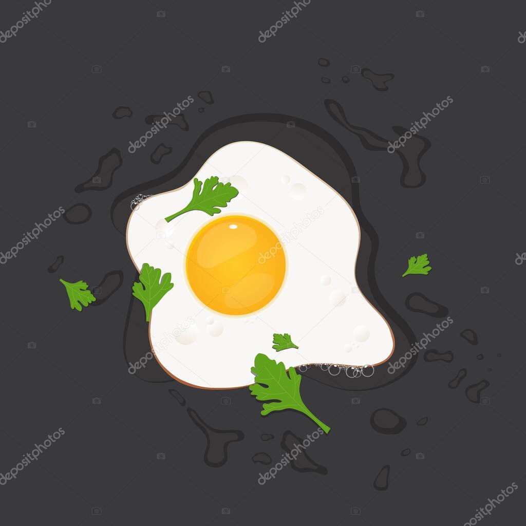 Fried egg with  parsley vector illustration