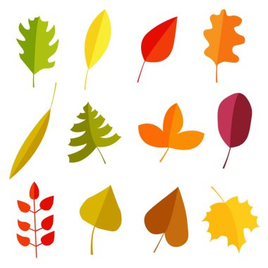 Sonbahar yaprakları. Basit düz çizgi film tarzının vektör illüstrasyonu