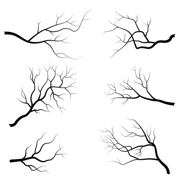 Ilustracja Wektora Gałęzi Drzewa Odizolowana Białym Tle Płaska Konstrukcja — Wektor stockowy