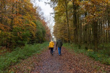 Erkek ve kadın sonbaharda köpeği gezdiriyorlar.