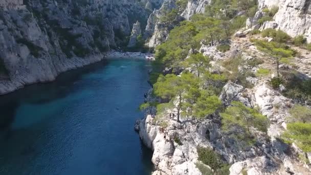空中ドローンはフランス南部のカランケ ボー上空でフライを撃ちました美しい小川と木と澄んだ水の晴れた日 — ストック動画
