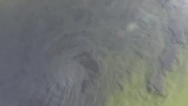 Aerial Drone Shot Beautiful Lake Vortex Mongolia Zoom Out Top — Stockvideo