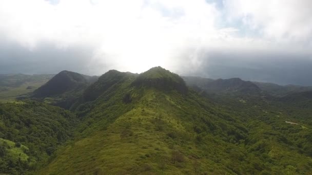 Montagne Pelee Cliff Martinique Deki Ağaç Üzerinde Insansız Hava Aracı — Stok video