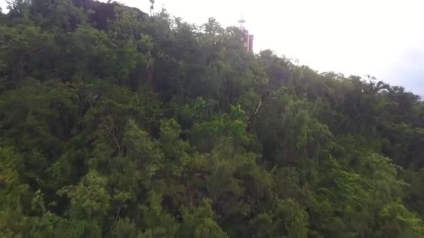 Drone Aéreo Disparado Sobre Árboles Descubriendo Faro Océano Martinica — Vídeos de Stock