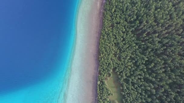 Letecký Drone Shot Horní Pohled Les Jezero Khuvsgul Mongolsko Slunečný — Stock video