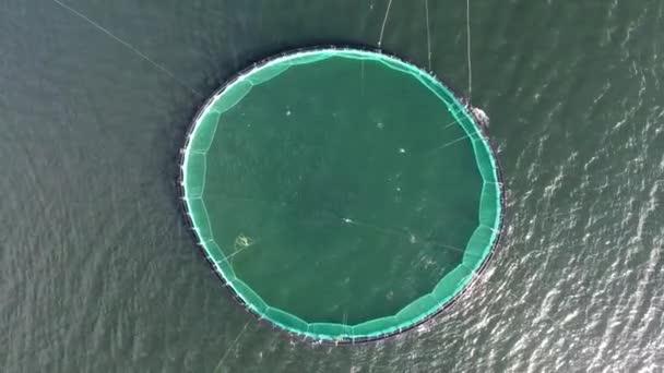 Drone Aérien Tir Vertical Vue Dessus Basse Haute Altitude Aquafarming — Video
