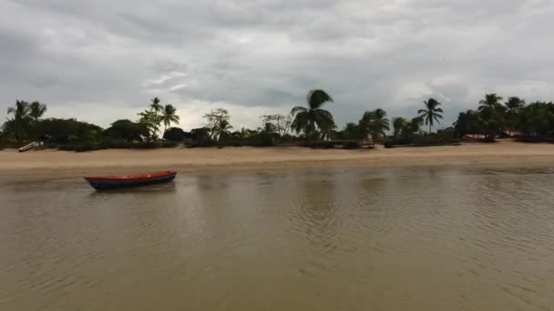 Plajda Bir Kanonun Etrafında Uçan Hava Uçuşu Awala Yalimapo Köyü — Stok video