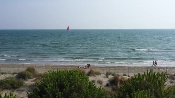 Vol aérien au-dessus des arbres et plage de sable vers un voilier catamaran rouge Méditerranée La Grande Motte France journée ensoleillée