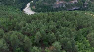 Tarn Nehri 'ni ve Tarn Fransa Kanyonu' nu keşfeden bir çam ağacı ormanının üzerindeki havadan.