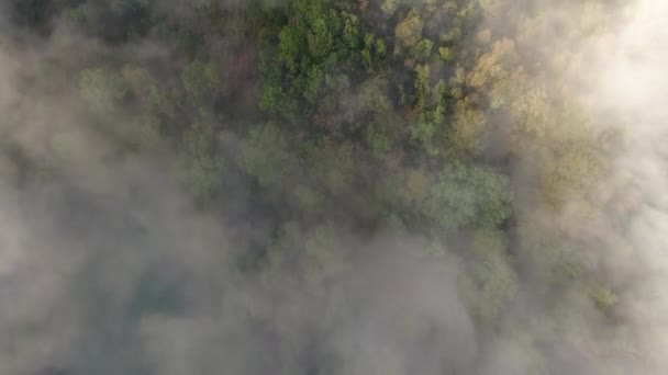 prise de vue aérienne mystique survolant une forêt nuageuse à la découverte d'une falaise dans les vercors france matin ensoleillé 