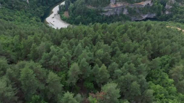 Aerial Pine Tree Forest Discovering Tarn River Canyon Gorges Tarn — 图库视频影像