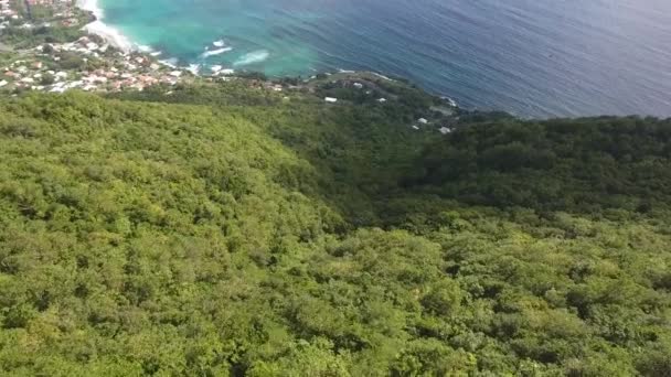 空中撮影で美しいビーチはマルティニークの木々の上を飛ぶ — ストック動画