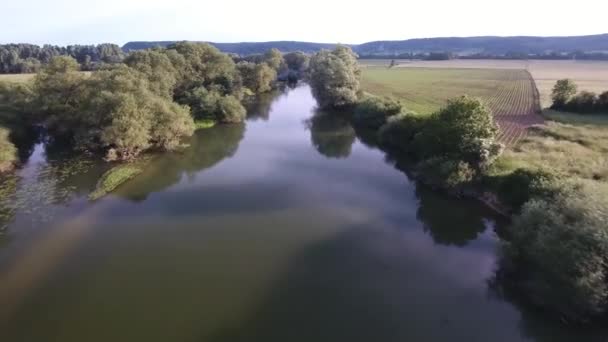 Flygfoto Flyger Över Flod Och Följer Fåglar Frankrike Solig Dag — Stockvideo