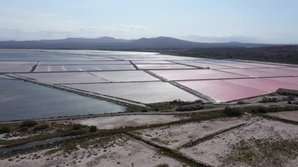 塩沼で空中撮影ピンク池塩蒸発生産オードフランス — ストック動画