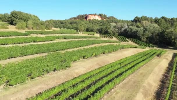Aerial Sunny Day Vineyards Fields Ochre Quarries Roussillon Village France — Stock Video