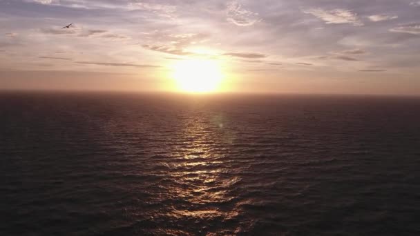 Vista Aerea Tramonto Sulla Silhouette Del Gabbiano Dell Oceano Francia — Video Stock