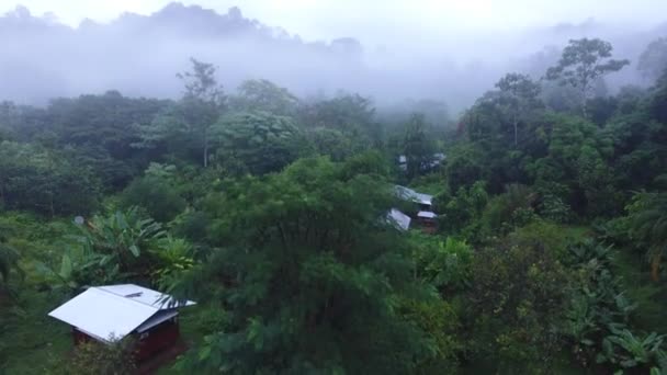 Vista Aérea Uma Pousada Ecoturismo Floresta Tropical Profunda Parque Amazônico — Vídeo de Stock