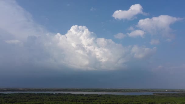 Vista Aérea Uma Nuvem Tempestuosa Paisagem Pinheiro Floresta França Por — Vídeo de Stock