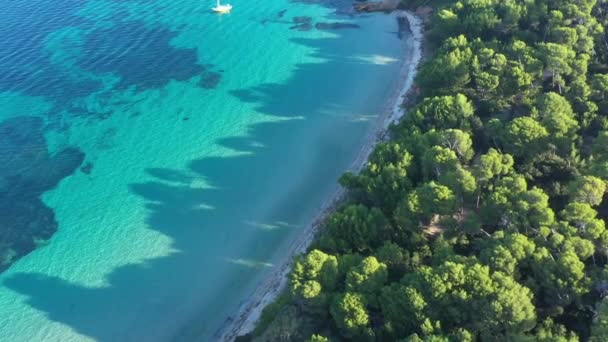 Εναέρια Άποψη Του Παραδείσου Porquerolles Ειδυλλιακή Παραλία Κρυστάλλινα Νερά Λευκή — Αρχείο Βίντεο