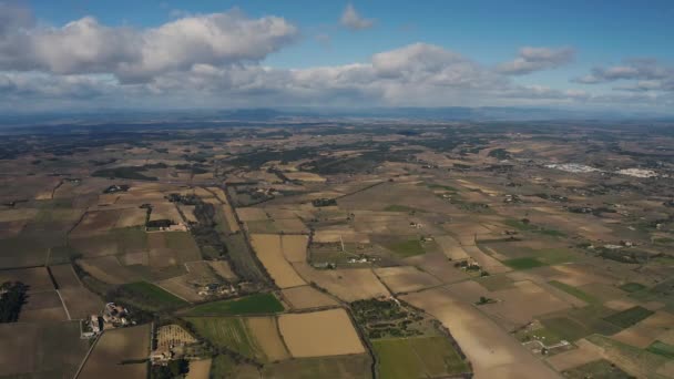 Agricultura Cultivos Campos Sul França Drone Aéreo Tiro Dia Ensolarado — Vídeo de Stock