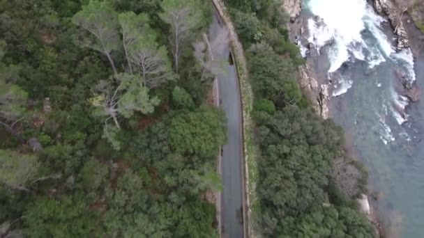 Belo Drone Cinematográfico Disparado Voando Sobre Canal Rio Descobrindo Carro — Vídeo de Stock