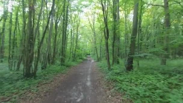 Красивый Дрон Летящий Лесной Тропе Человеком Конце Франция — стоковое видео