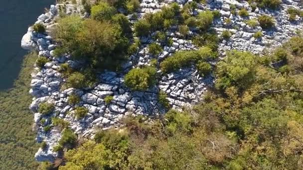 Vuelo Cercano Sobre Algunas Rocas Arbustos Descubriendo Acantilado Vercors Tiro — Vídeos de Stock