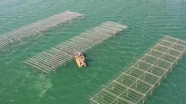 Vicino Alla Vista Aerea Lontana Una Barca Fondo Piatto Ostrica — Video Stock