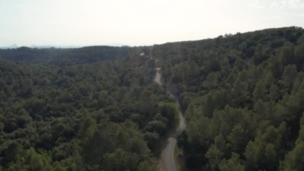 Carretera Desierta Matorrales Día Soleado Tiro Aéreo Gard Francia — Vídeo de stock