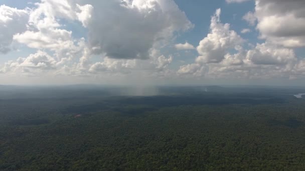 Downpour Drone Amazonian Forest Sunny Day Aerial View — Stock Video