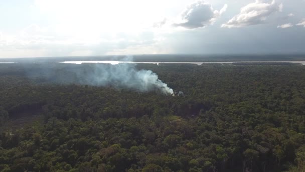Dramatique Slash Burn Agriculture Guiana Amazonian Forest Fire Aerial — Video