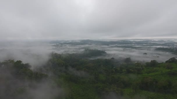 Vuelo Drones Las Nubes Sobre Bosque Lluvioso Tropical Primario Niebla — Vídeos de Stock