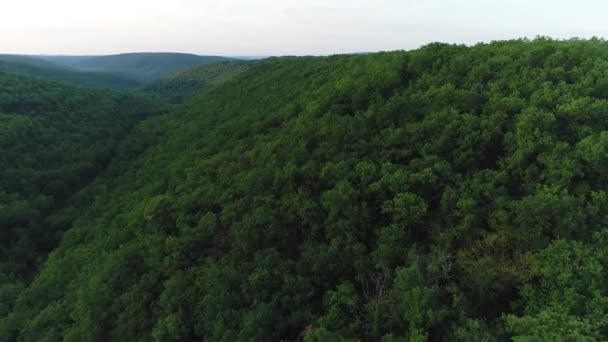 Drone Vuelo Sobre Bosque Colinas Día Tiempo Francia — Vídeos de Stock