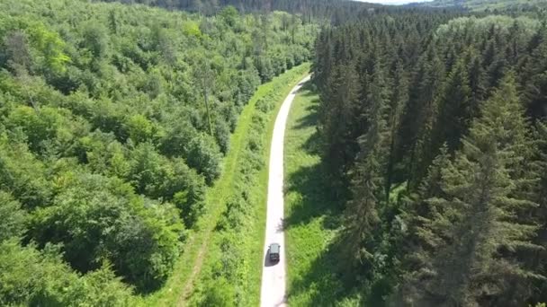 Drone Disparó Tras Coche Trabajador Forestal Camino Borde Del Bosque — Vídeo de stock