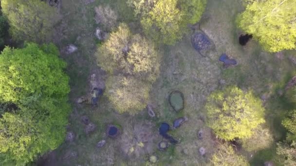 drone tiré sur une forêt et ww1 trous de coquille remplis d'eau