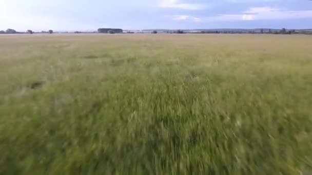 Schnelles Luftbild Das Über Landwirtschaftliche Felder Frankreich Tagsüber Tiefflug Fliegt — Stockvideo