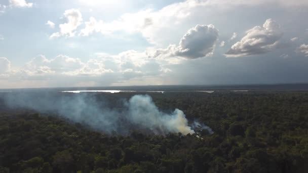 Firefallow Cultivation Smoke Plume Amazonian Forest Aerial View — Stock Video