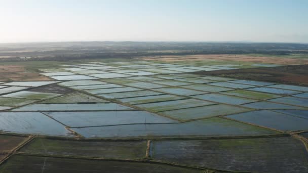 Затоплені Рисові Поля Повітряні Подорожі Франція Камуфляж Сонячний День — стокове відео