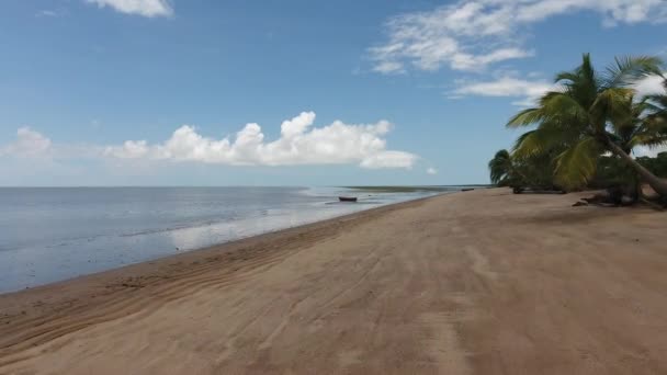 Awala Yalimapo Köyü Guiana Bir Plajda Pirogue Kanoya Doğru Uçmak — Stok video