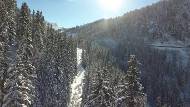 Voando Sobre Caminho Floresta Nevada Com Uma Estância Esqui Fundo — Vídeo de Stock